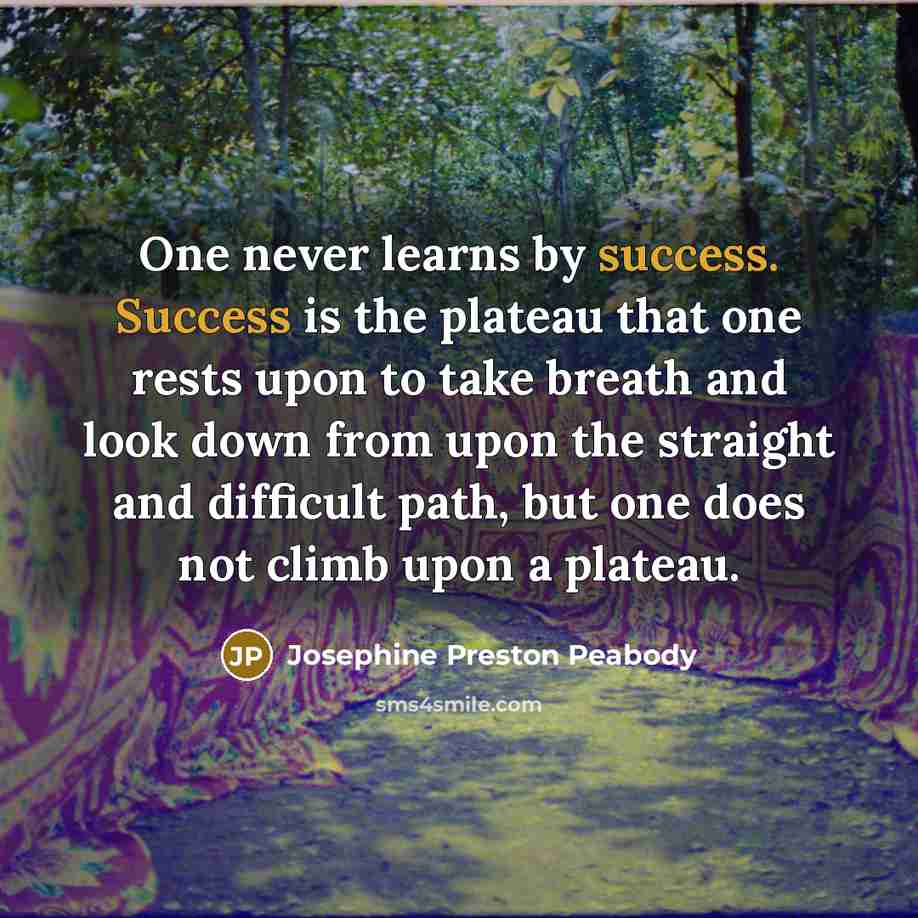 “One never learns by success. Success is the plateau that…” quote by Josephine Preston Peabody