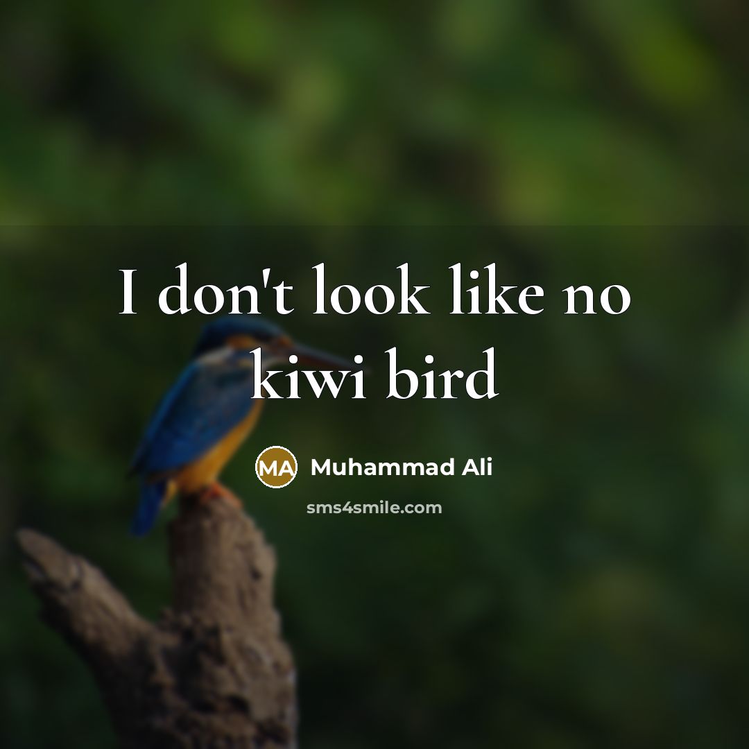 “I don't look like no kiwi bird…” quote by Muhammad Ali