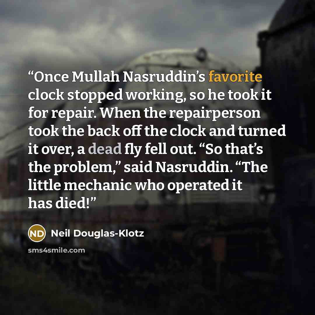 “Once Mullah Nasruddin’s favorite clock stopped working, so he took it for repair. When the repairperson took the back off the clock and turned it over, a dead fly fell out. “So that’s the problem,” said Nasruddin. “The little mechanic who operated it has died!” quote by Neil Douglas-Klotz