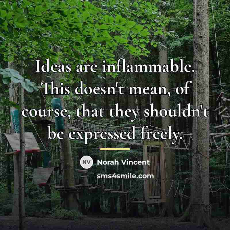 “Ideas are inflammable. This doesn't mean, of course, that they…” quote by Norah Vincent