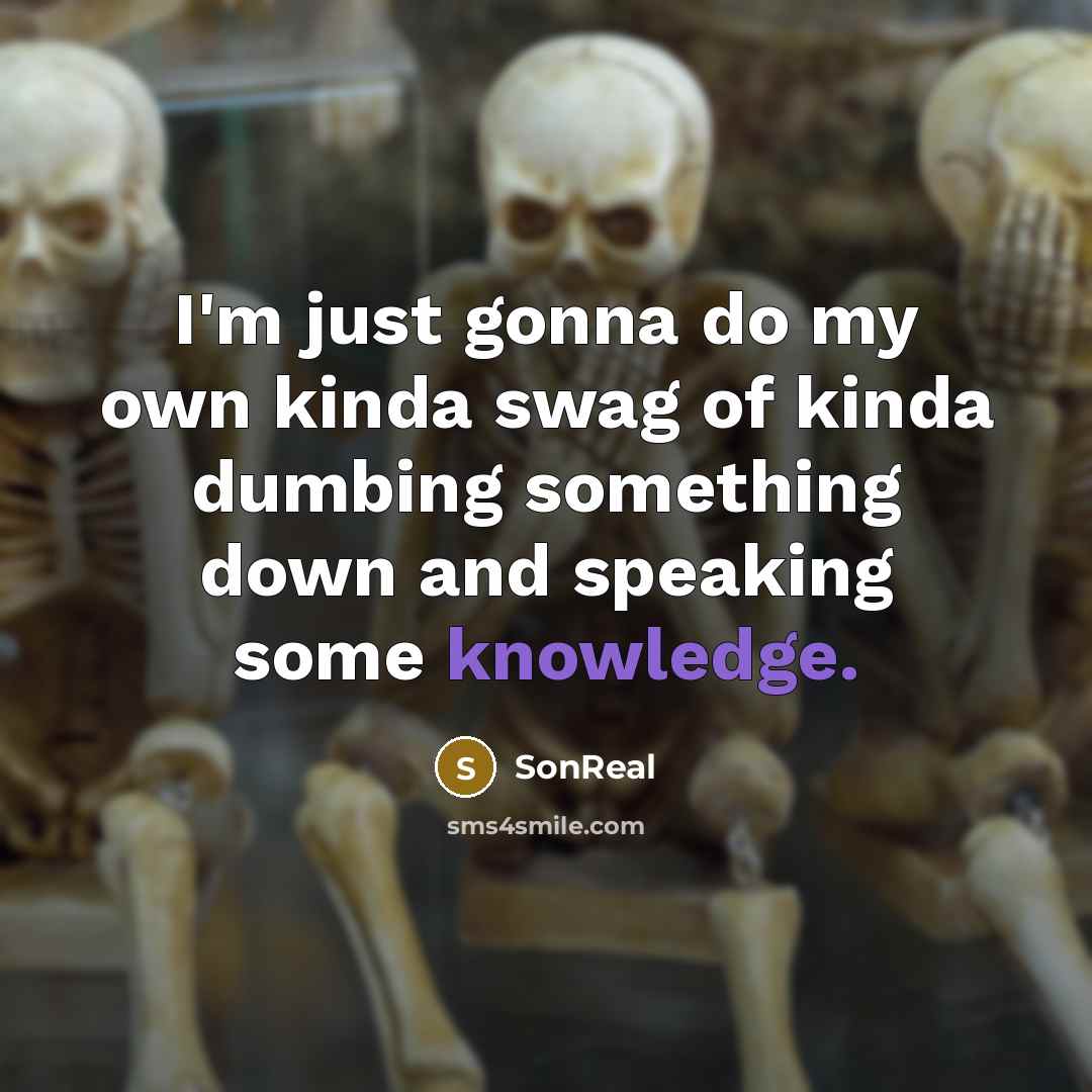 “I'm just gonna do my own kinda swag of kinda…” quote by SonReal