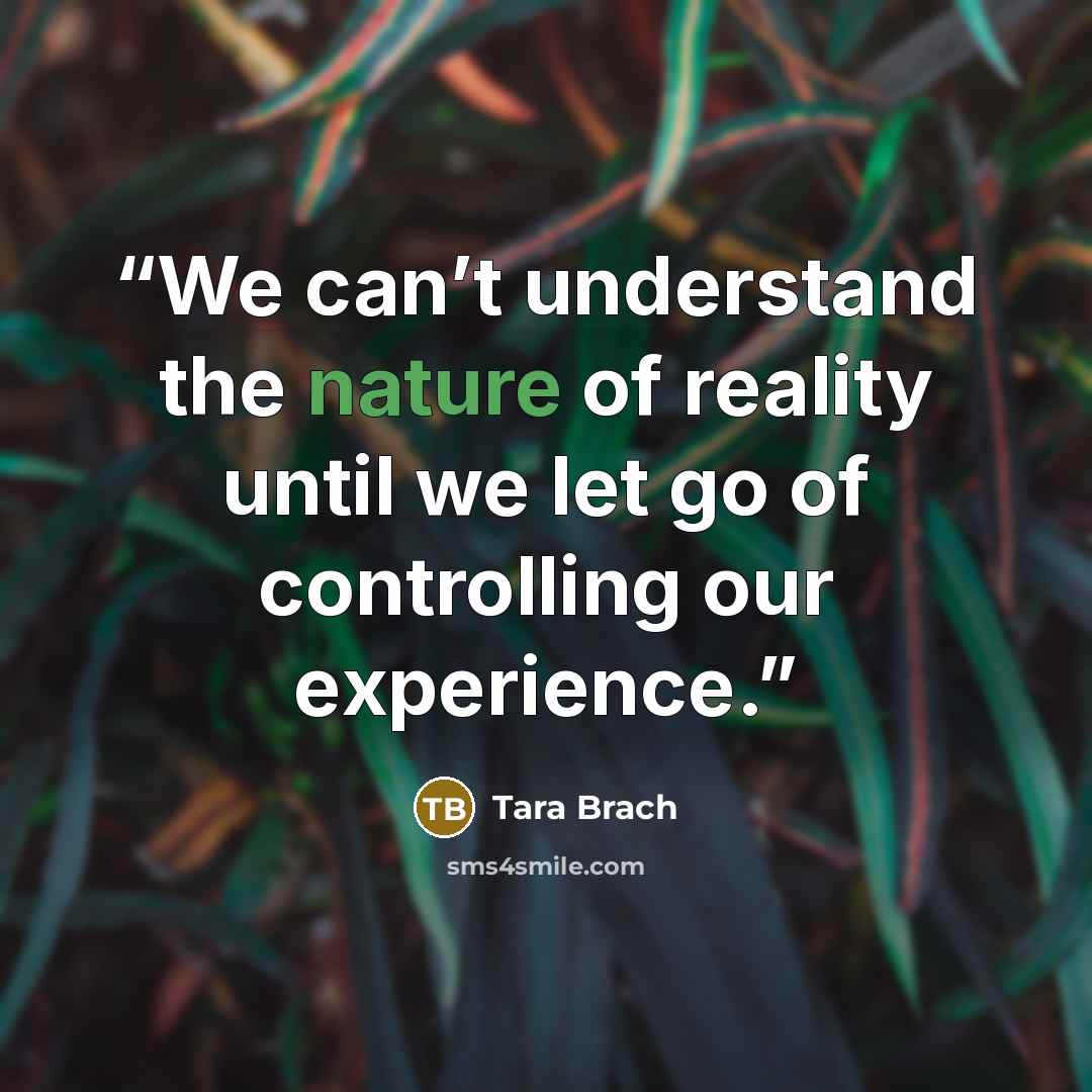 “We can’t understand the nature of reality until we let go of controlling our experience.” quote by Tara Brach