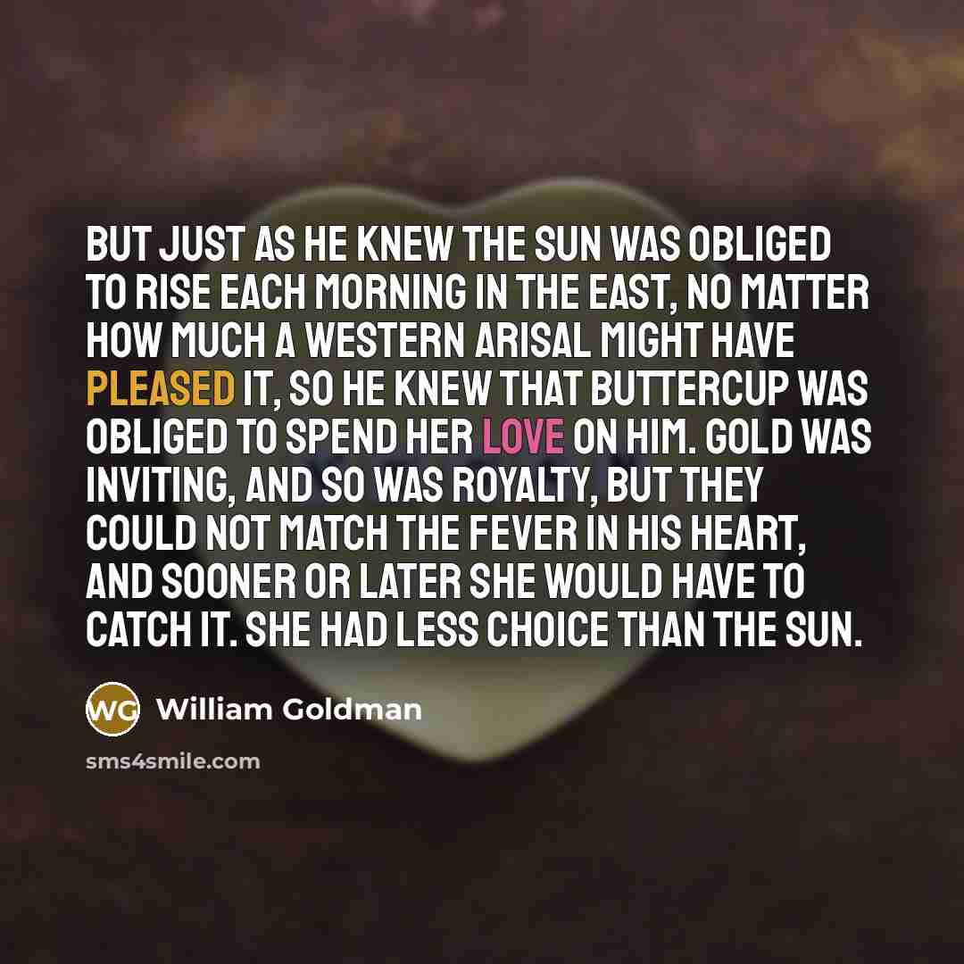 “But just as he knew the sun was obliged to…” quote by William Goldman