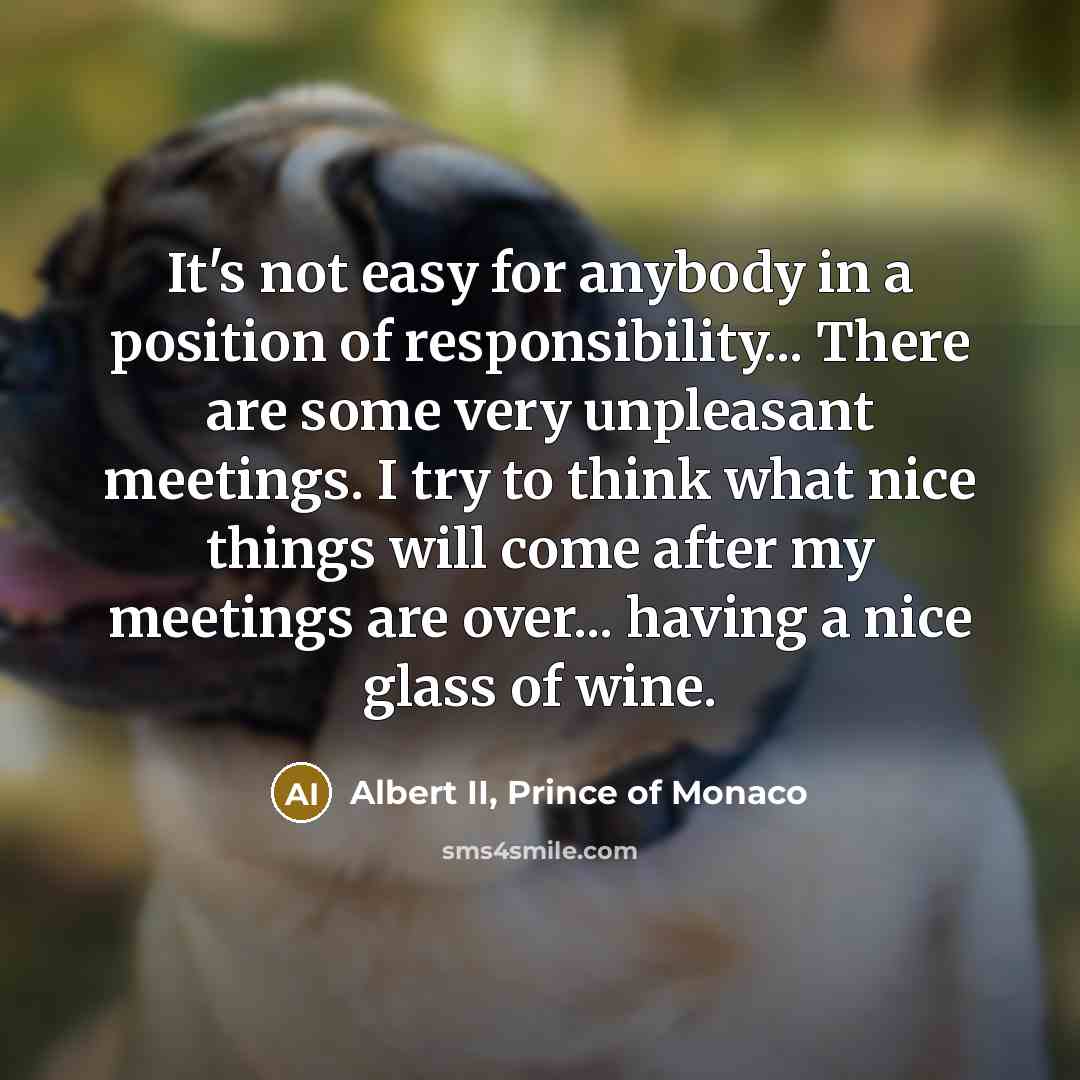 “It's not easy for anybody in a position of responsibility...…” quote by Albert II, Prince of Monaco
