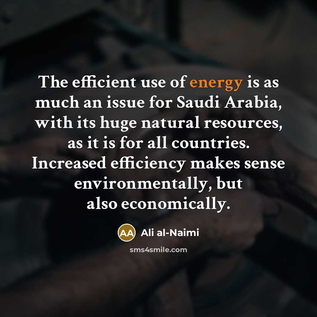 “The efficient use of energy is as much an issue…” quote by Ali al-Naimi