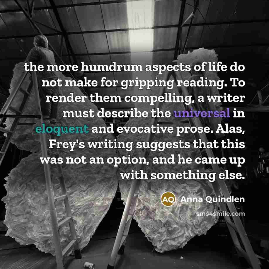 “the more humdrum aspects of life do not make for…” quote by Anna Quindlen