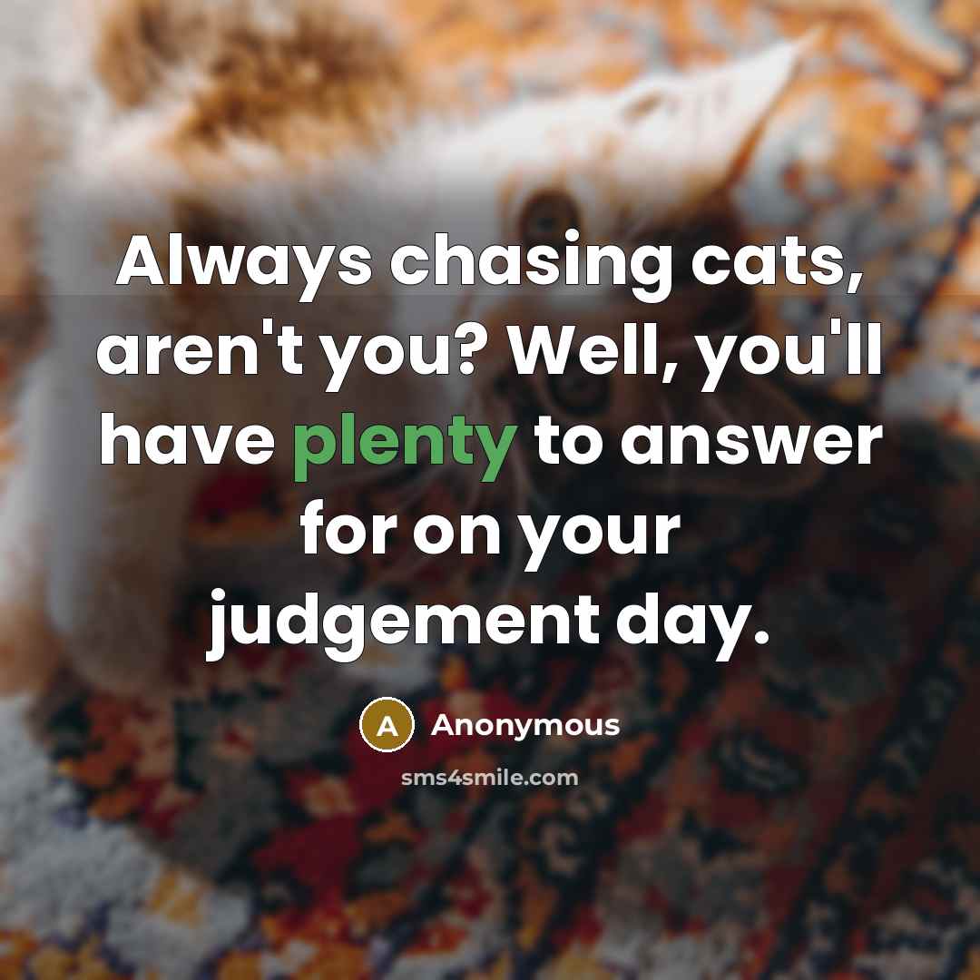 “Always chasing cats, aren't you? Well, you'll have plenty to answer for on your judgement day.” quote by Anonymous