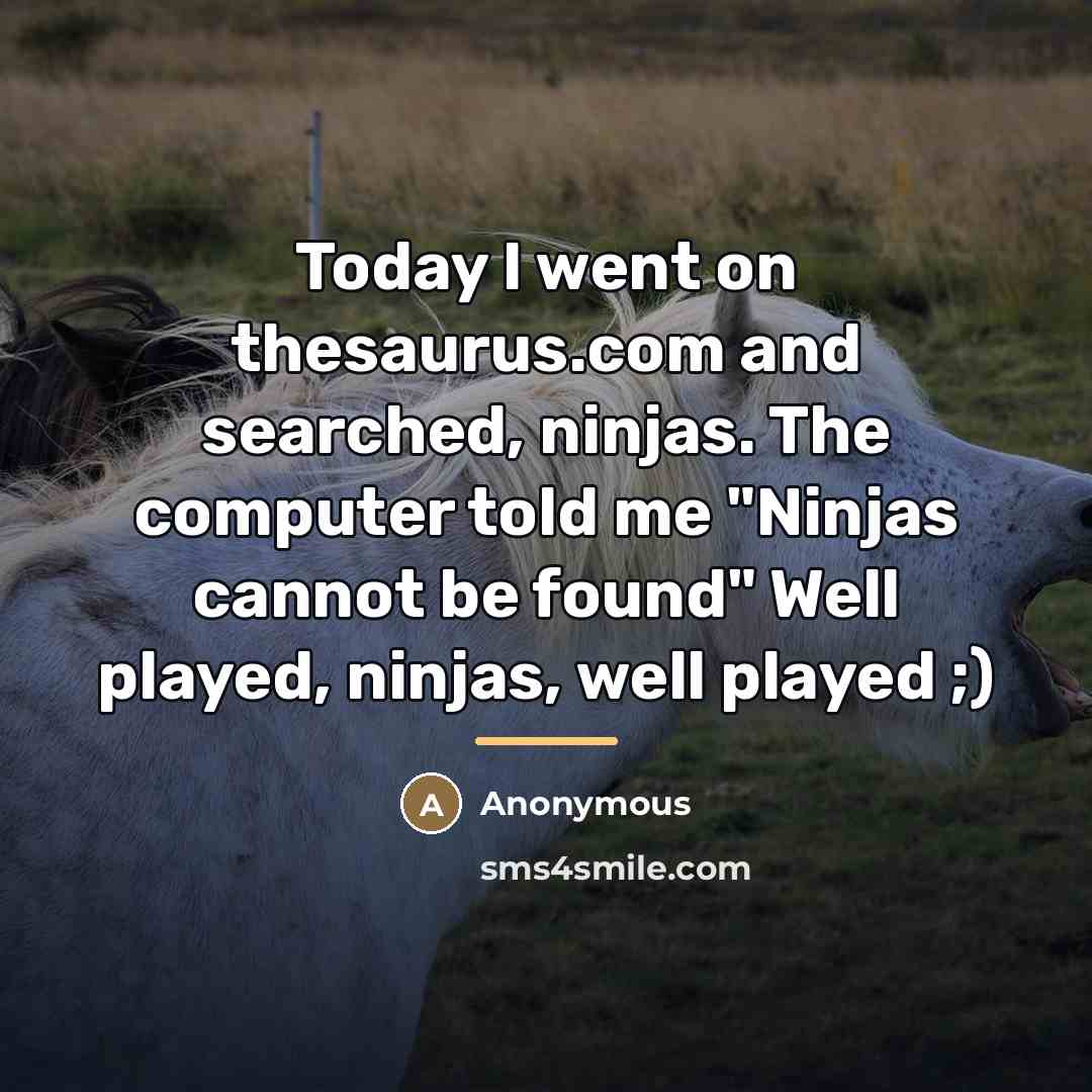“Today I went on thesaurus.com and searched, ninjas. The computer…” quote by Anonymous