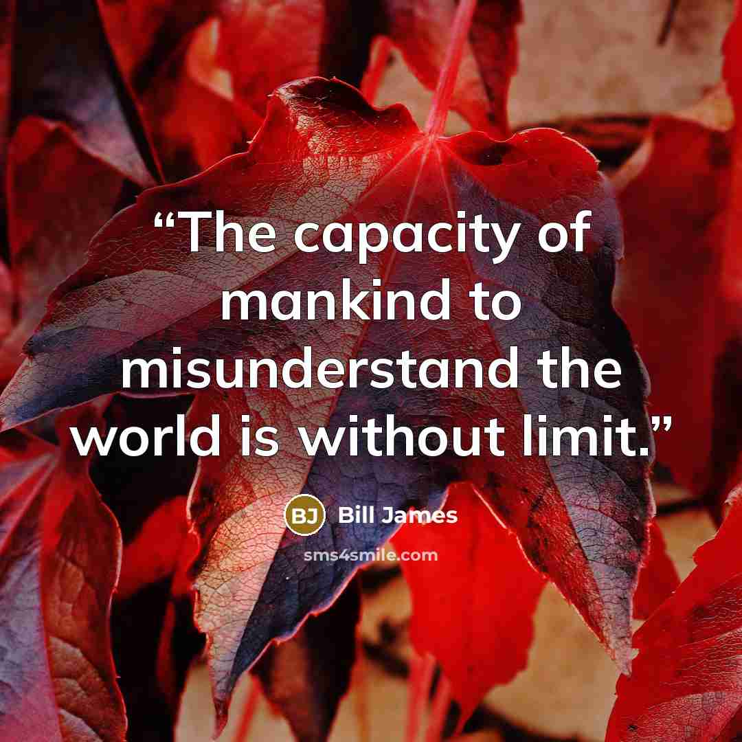 “The capacity of mankind to misunderstand the world is without limit.” quote by Bill James