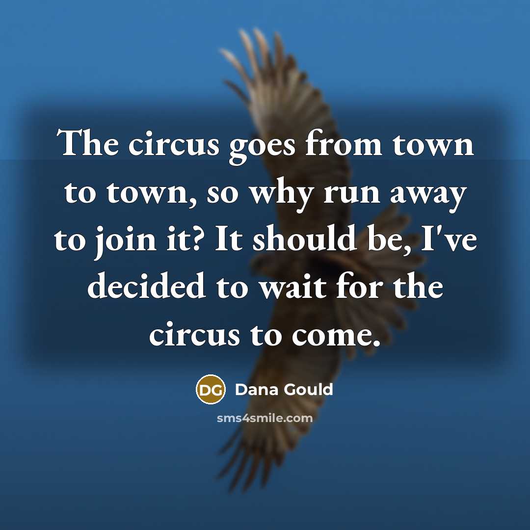 “The circus goes from town to town, so why run…” quote by Dana Gould