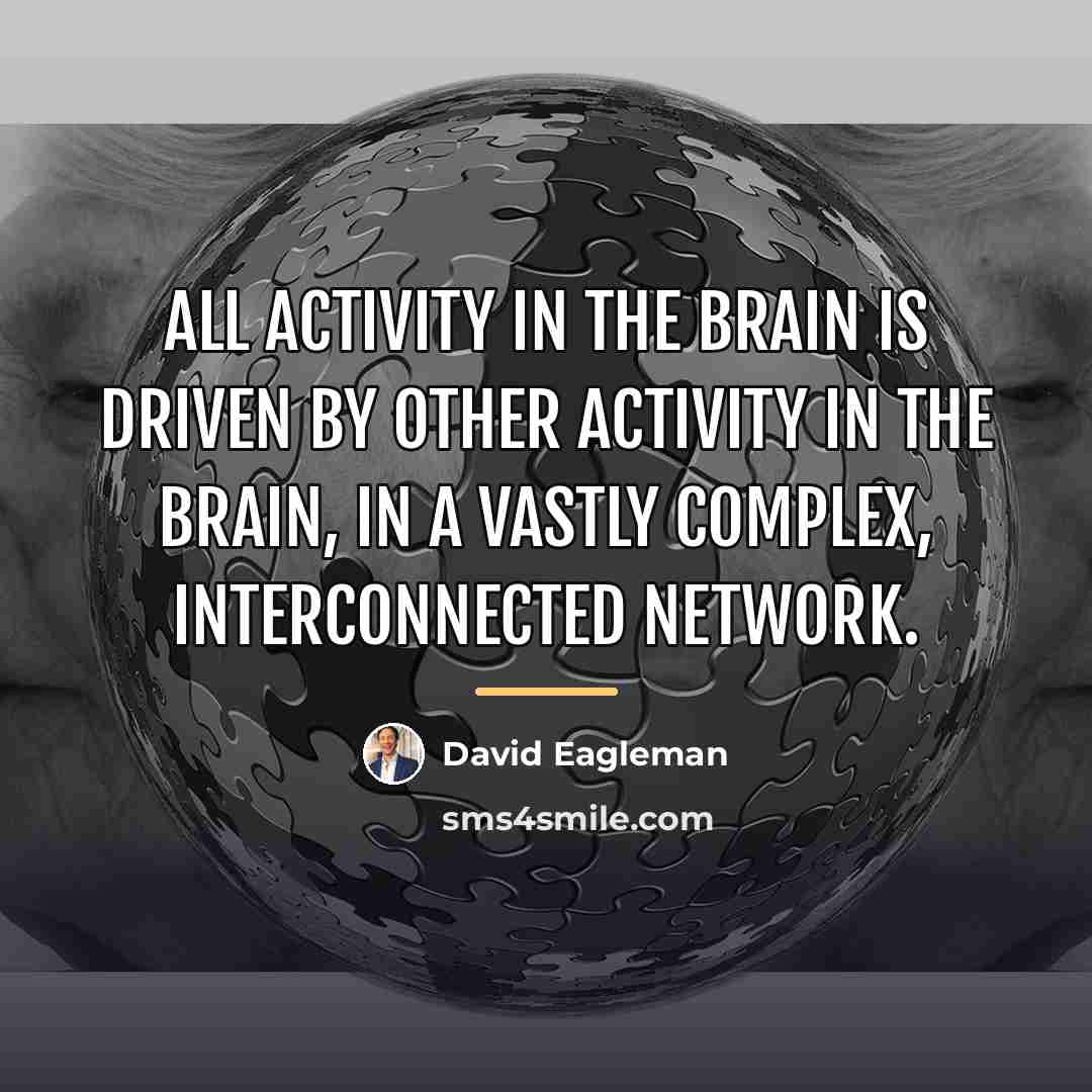 “All activity in the brain is driven by other activity…” quote by David Eagleman