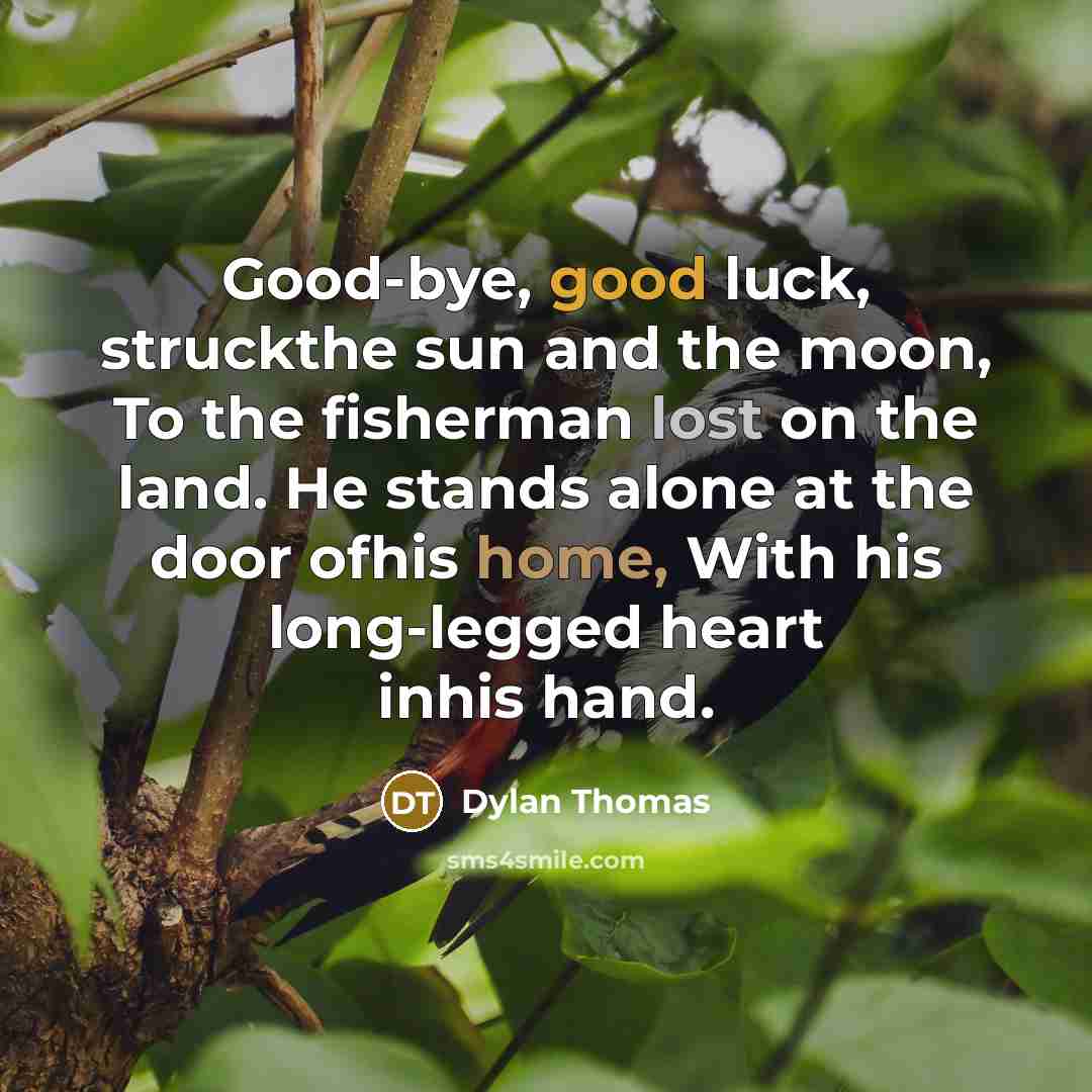 “Good-bye, good luck, struckthe sun and the moon, To the fisherman lost on the land. He stands alone at the door ofhis home, With his long-legged heart inhis hand.” quote by Dylan Thomas