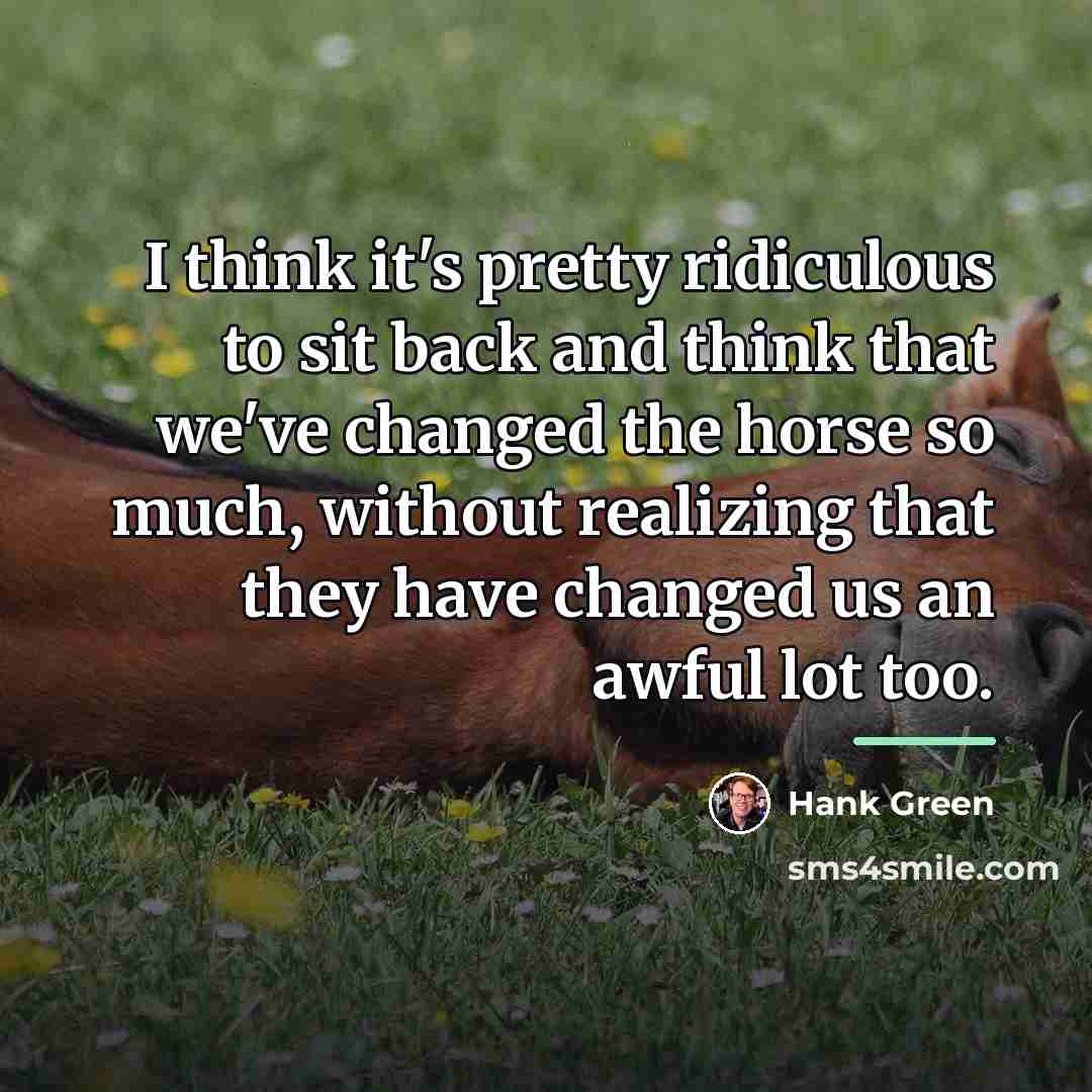 “I think it's pretty ridiculous to sit back and think…” quote by Hank Green