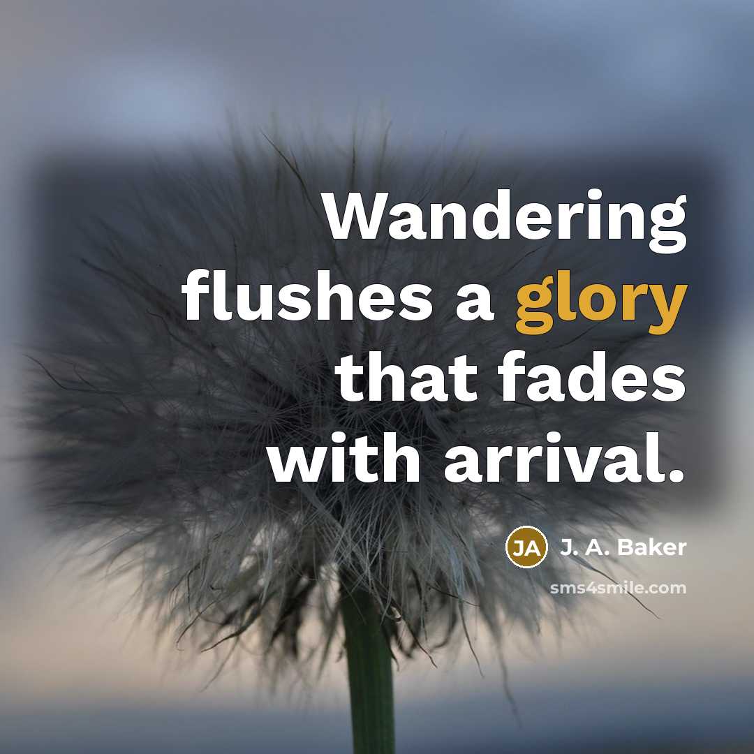 “Wandering flushes a glory that fades with arrival.…” quote by J. A. Baker
