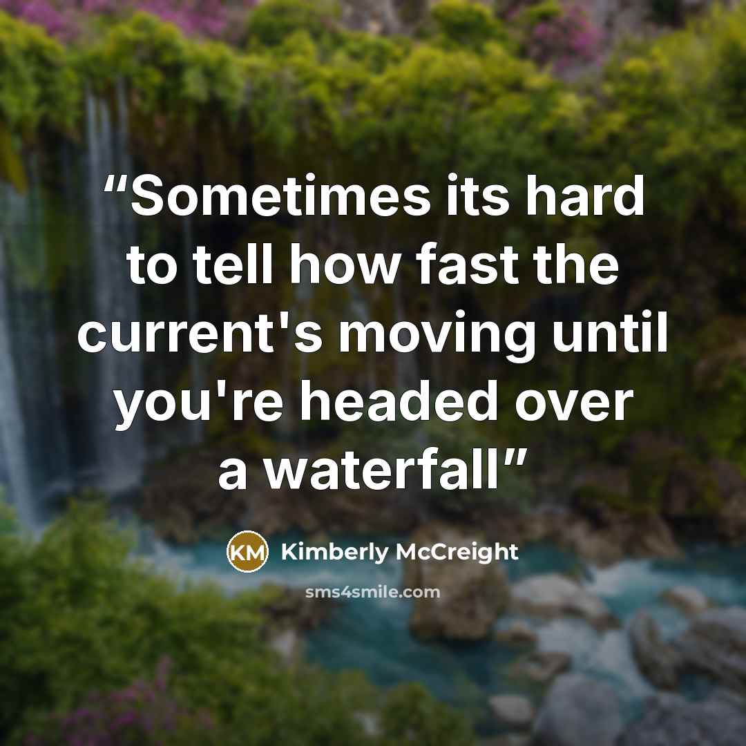 “Sometimes its hard to tell how fast the current's moving until you're headed over a waterfall” quote by Kimberly McCreight