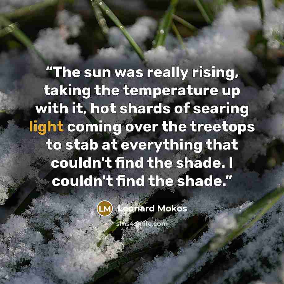 “The sun was really rising, taking the temperature up with it, hot shards of searing light coming over the treetops to stab at everything that couldn't find the shade. I couldn't find the shade.” quote by Leonard Mokos