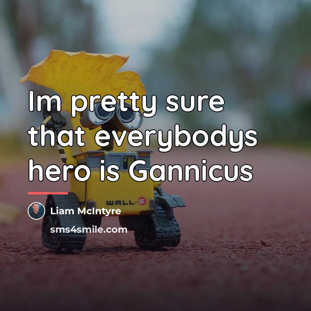 “Im pretty sure that everybodys hero is Gannicus…” quote by Liam McIntyre