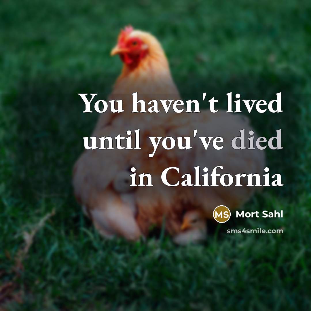 “You haven't lived until you've died in California…” quote by Mort Sahl