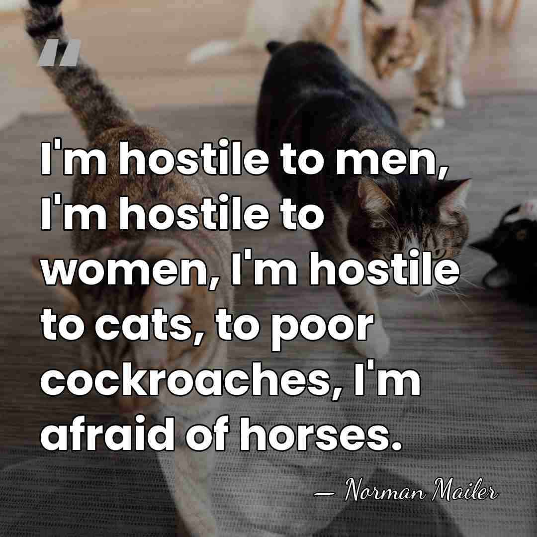 I'm hostile to men, I'm hostile to women, I'm hostile to cats,&hellip; - Norman Mailer