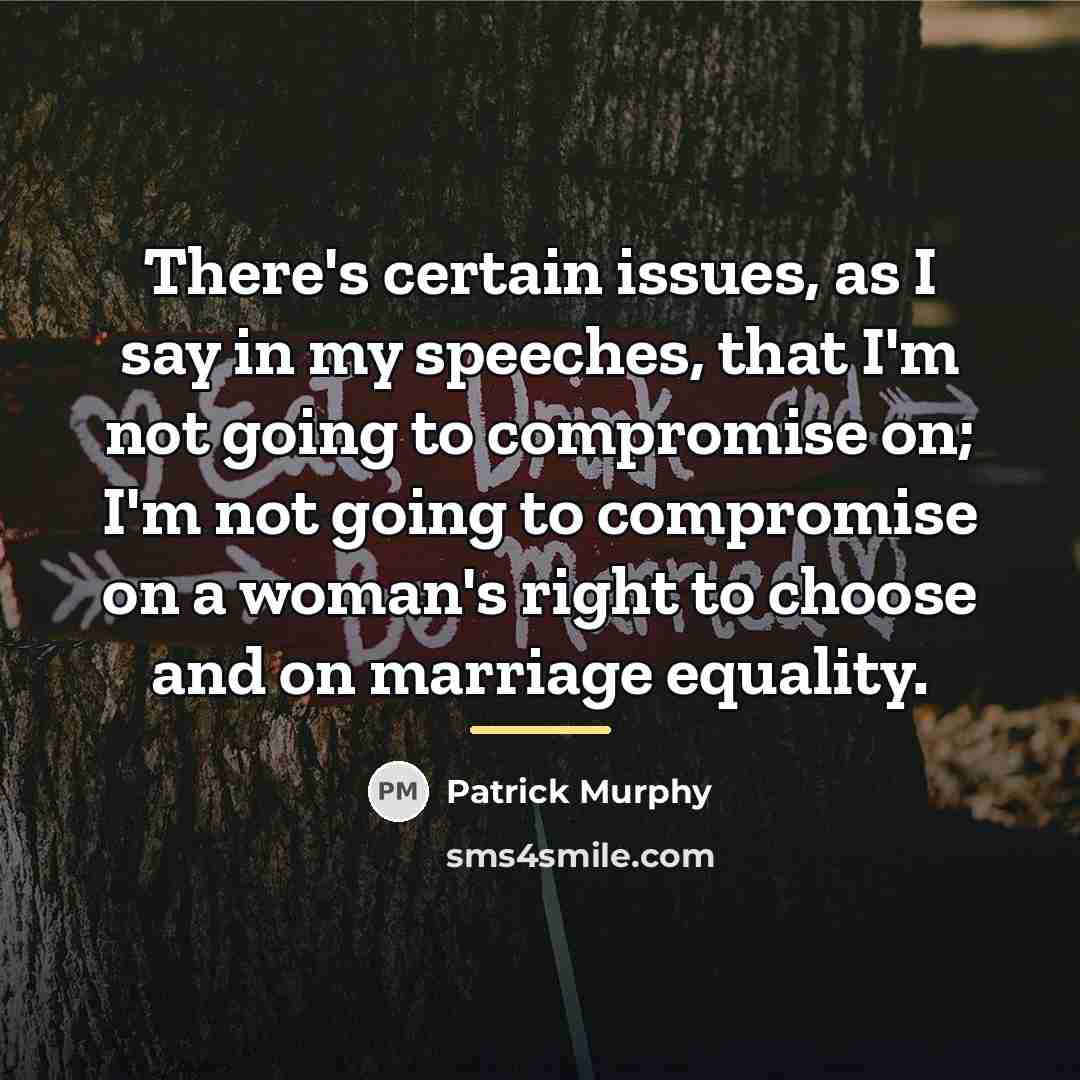 “There's certain issues, as I say in my speeches, that…” quote by Patrick Murphy