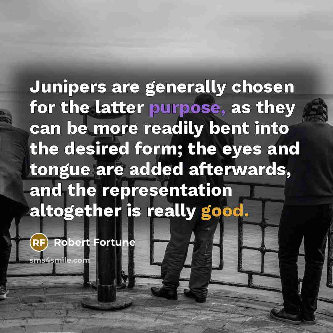 “Junipers are generally chosen for the latter purpose, as they…” quote by Robert Fortune
