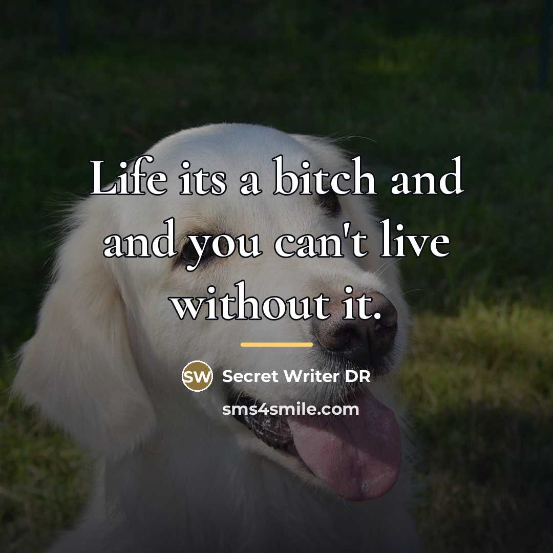 “Life its a bitch and and you can't live without…” quote by Secret Writer DR