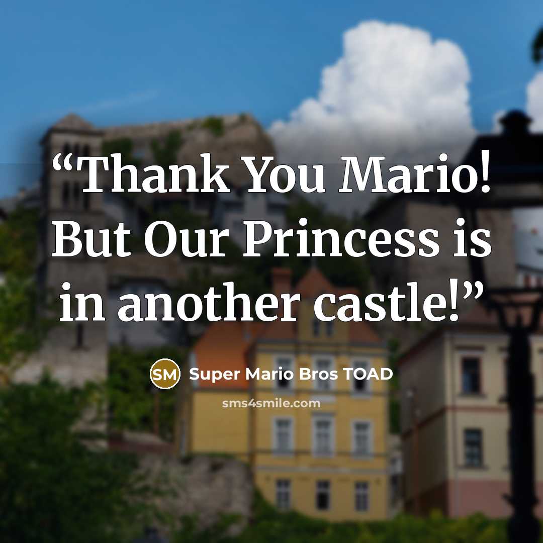 “Thank You Mario! But Our Princess is in another castle!” quote by Super Mario Bros TOAD