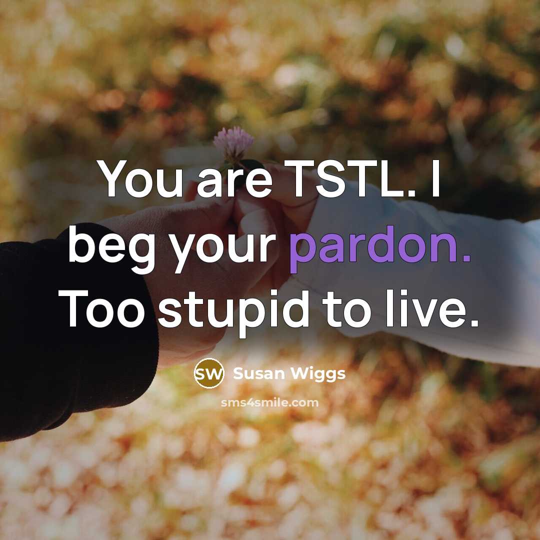 “You are TSTL. I beg your pardon. Too stupid to…” quote by Susan Wiggs