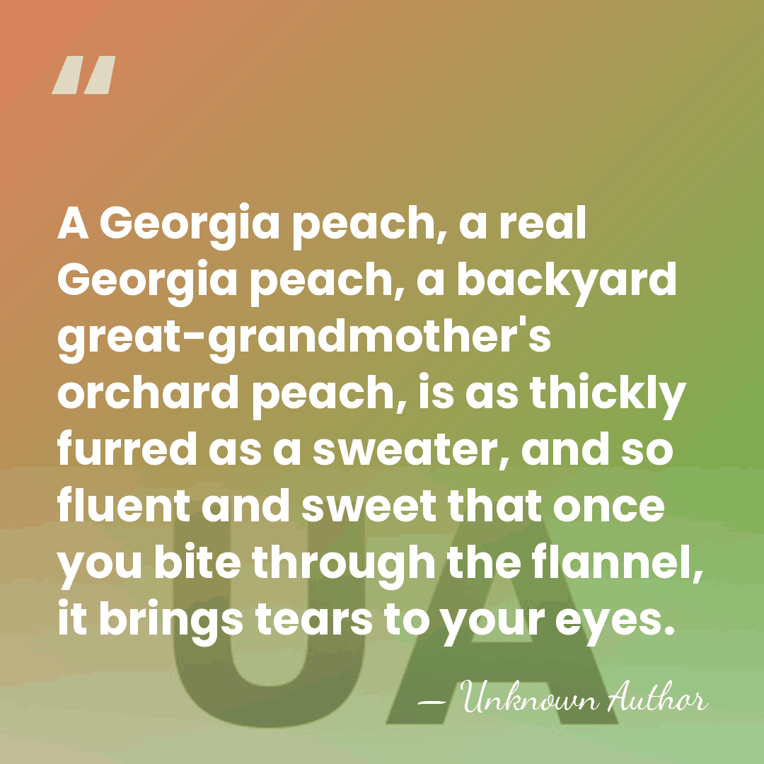 A Georgia peach, a real Georgia peach, a backyard great-grandmother's orchard peach,&hellip; - Melissa Fay Greene