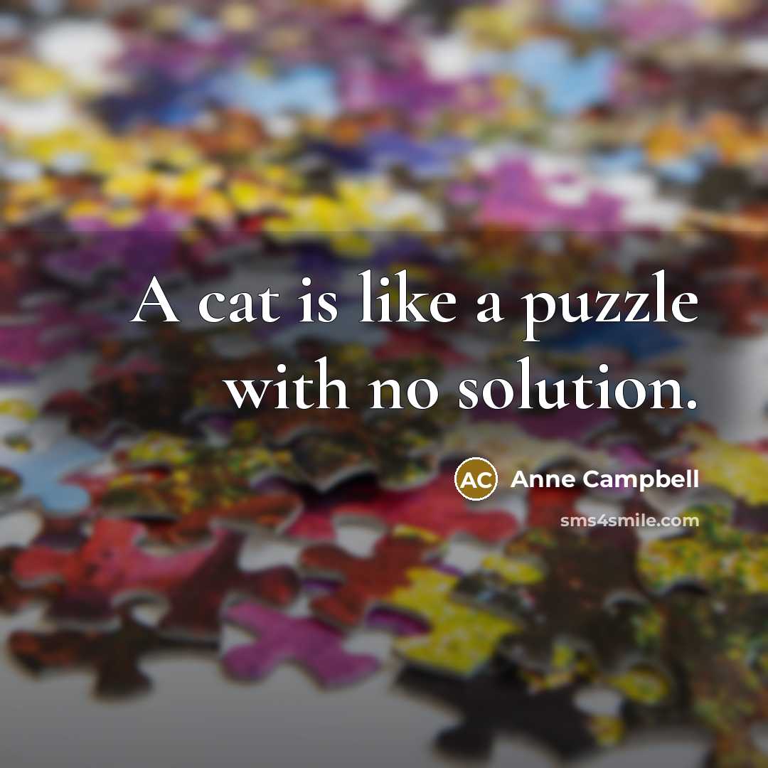 “A cat is like a puzzle with no solution.…” quote by Anne Campbell