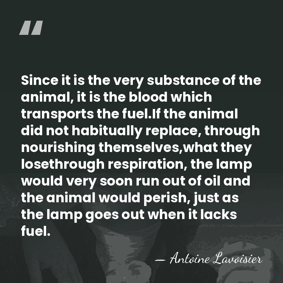 Since it is the very substance of the animal, it is the&hellip; - Antoine Lavoisier