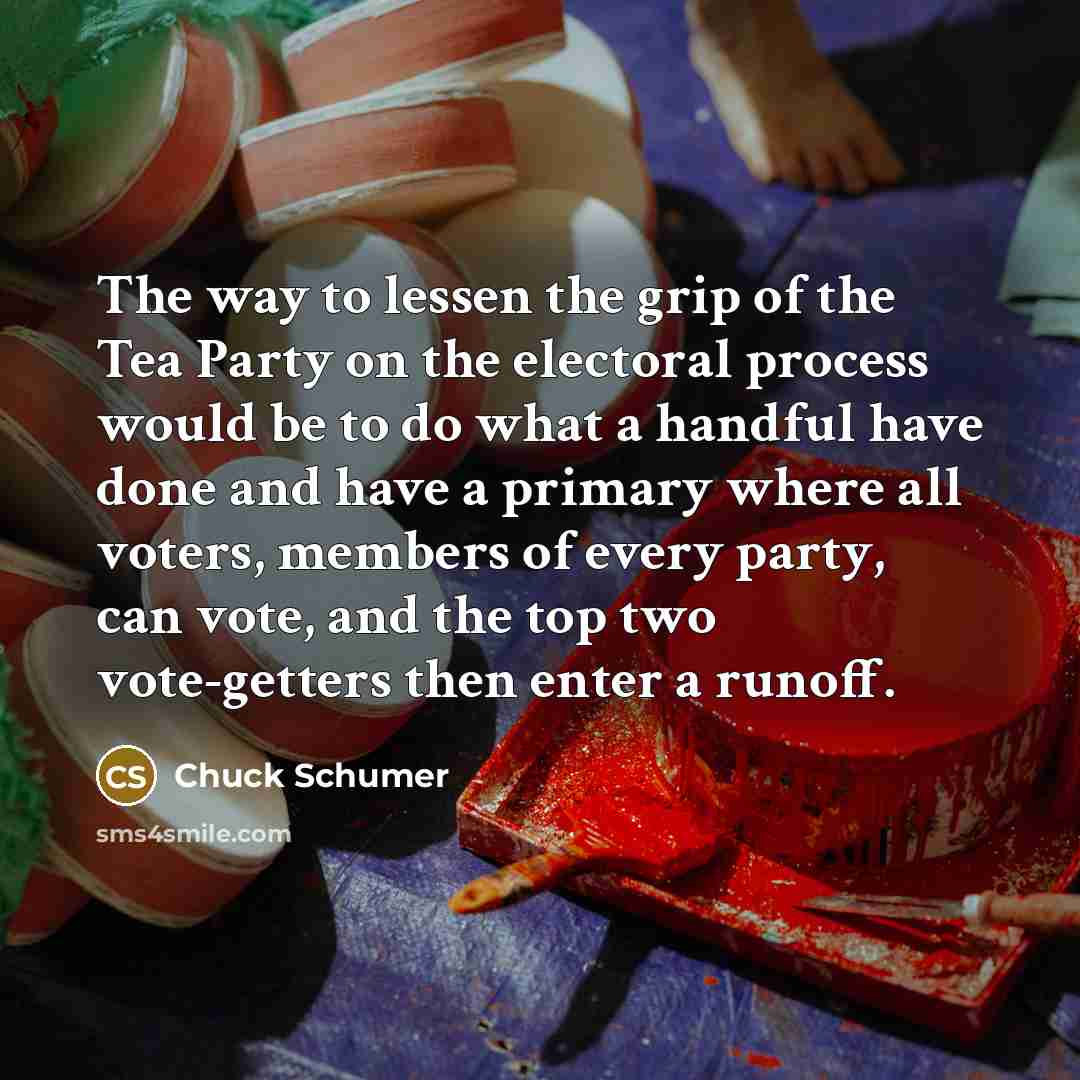 “The way to lessen the grip of the Tea Party…” quote by Chuck Schumer