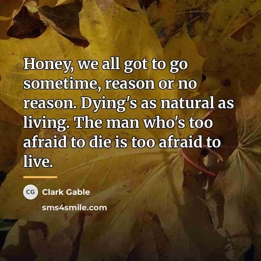“Honey, we all got to go sometime, reason or no…” quote by Clark Gable
