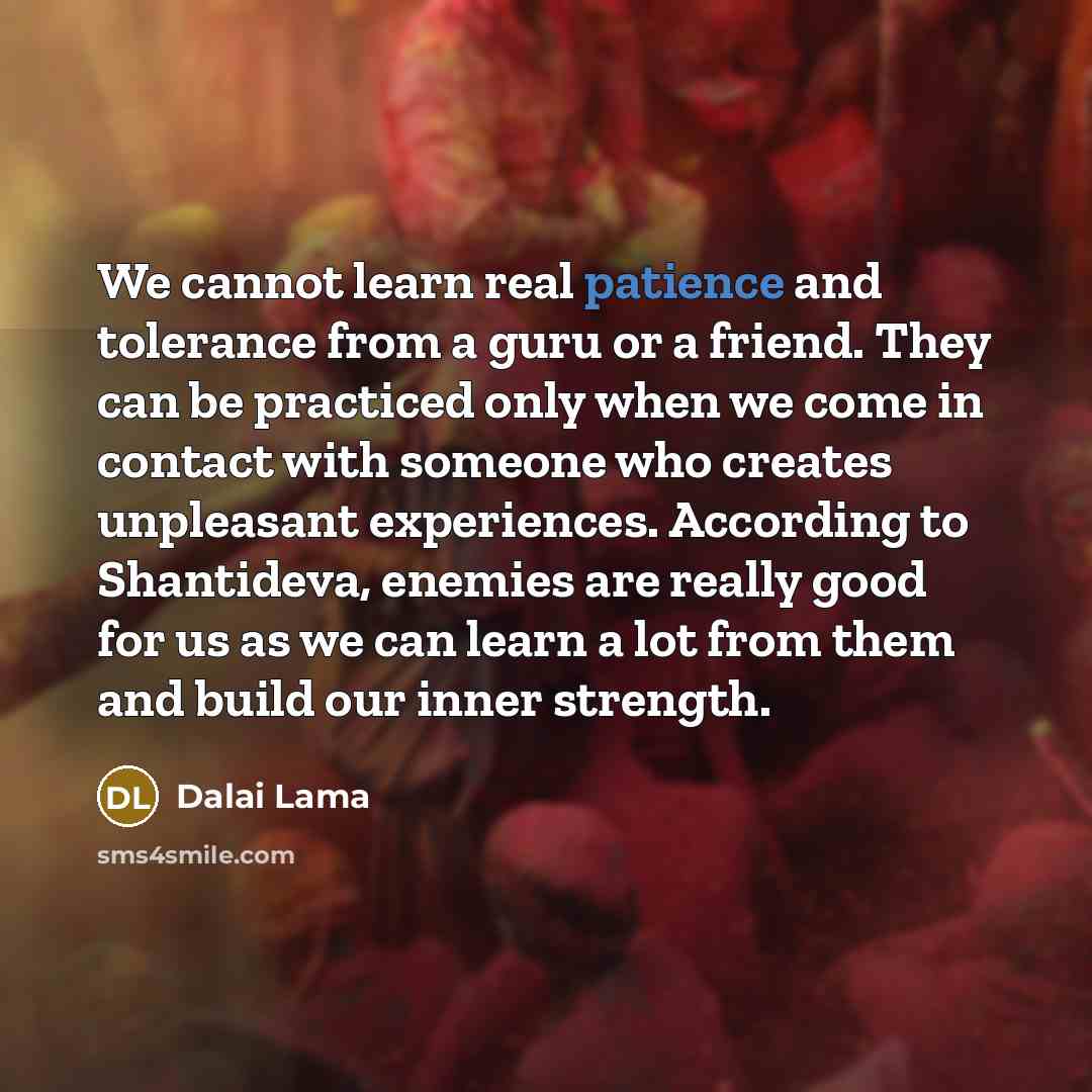 “We cannot learn real patience and tolerance from a guru…” quote by Dalai Lama