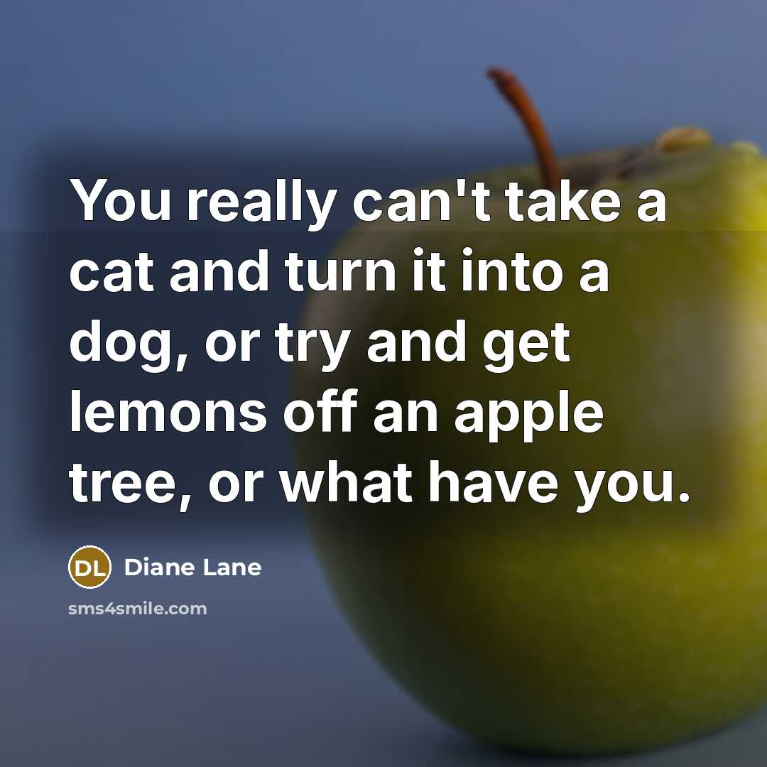 “You really can't take a cat and turn it into…” quote by Diane Lane