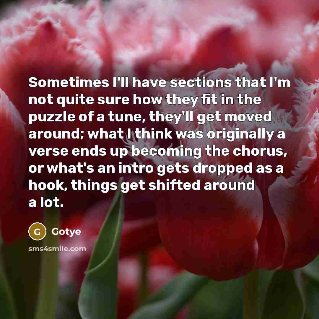 “Sometimes I'll have sections that I'm not quite sure how…” quote by Gotye