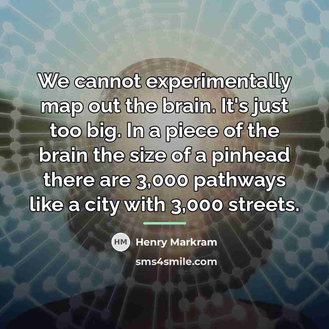 “We cannot experimentally map out the brain. It's just too…” quote by Henry Markram