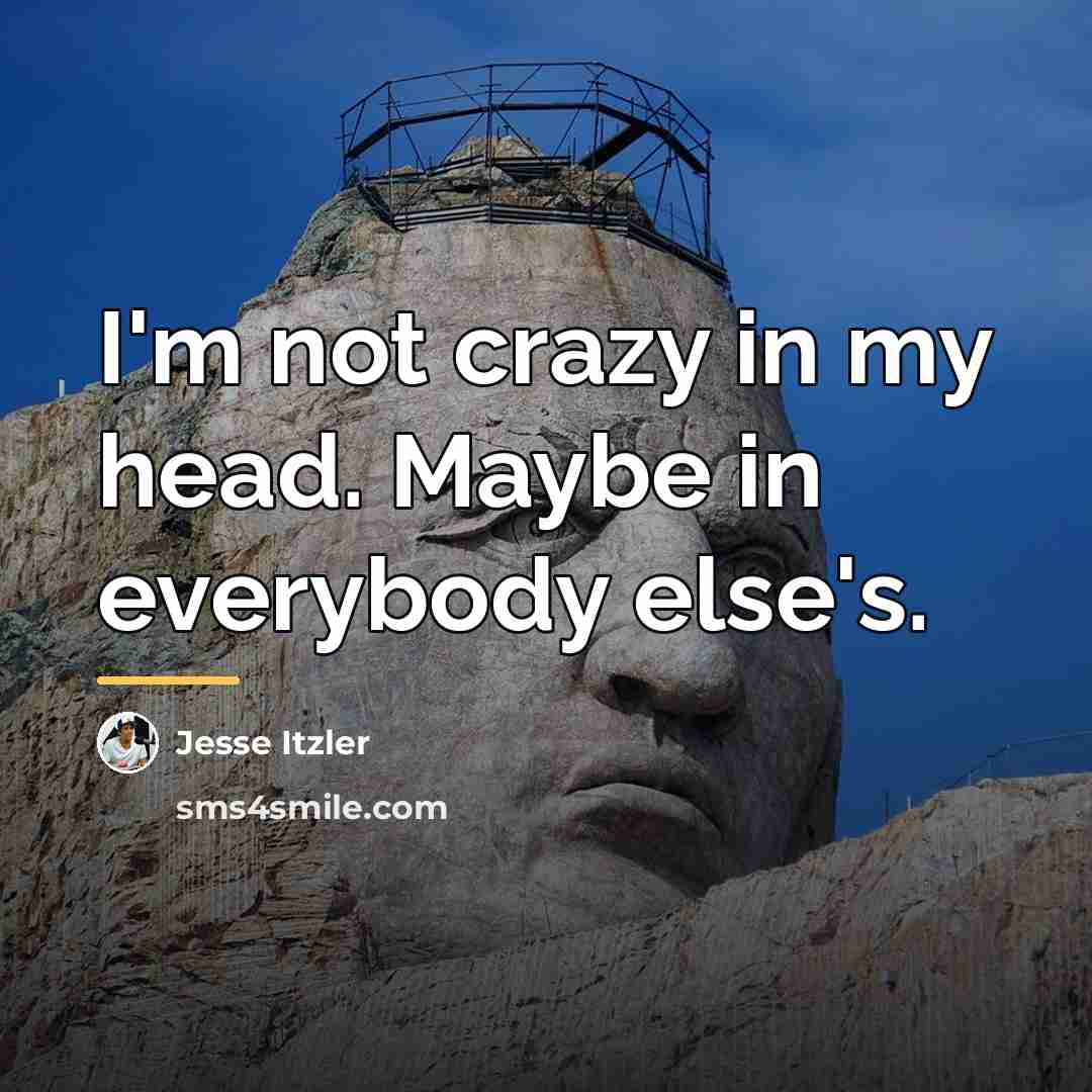 “I'm not crazy in my head. Maybe in everybody else's.…” quote by Jesse Itzler