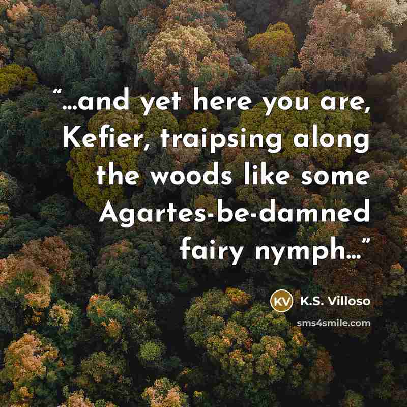 “...and yet here you are, Kefier, traipsing along the woods like some Agartes-be-damned fairy nymph...” quote by K.S. Villoso
