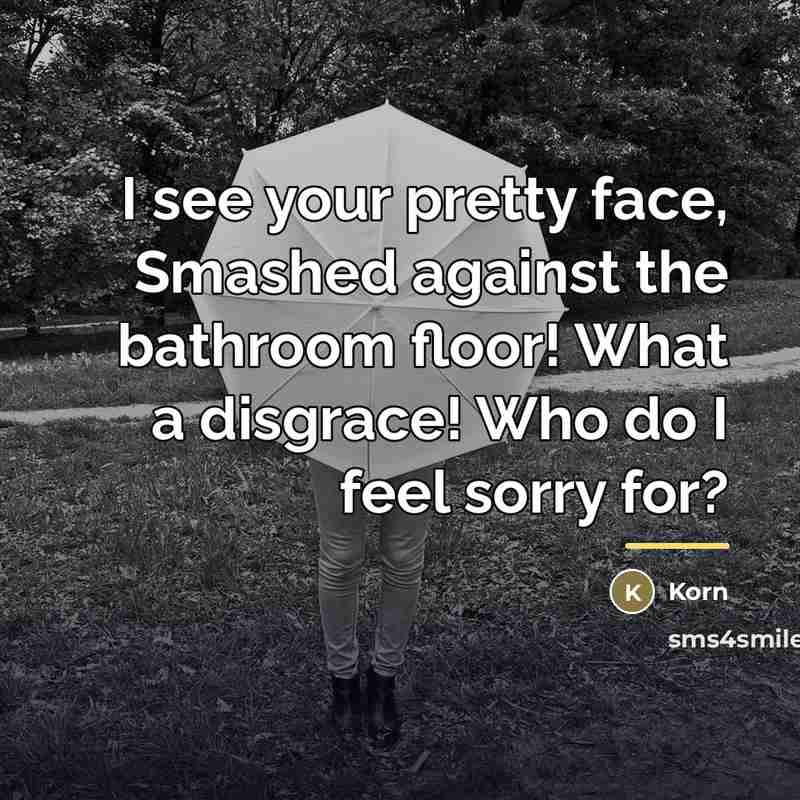 “I see your pretty face, Smashed against the bathroom floor!…” quote by Korn