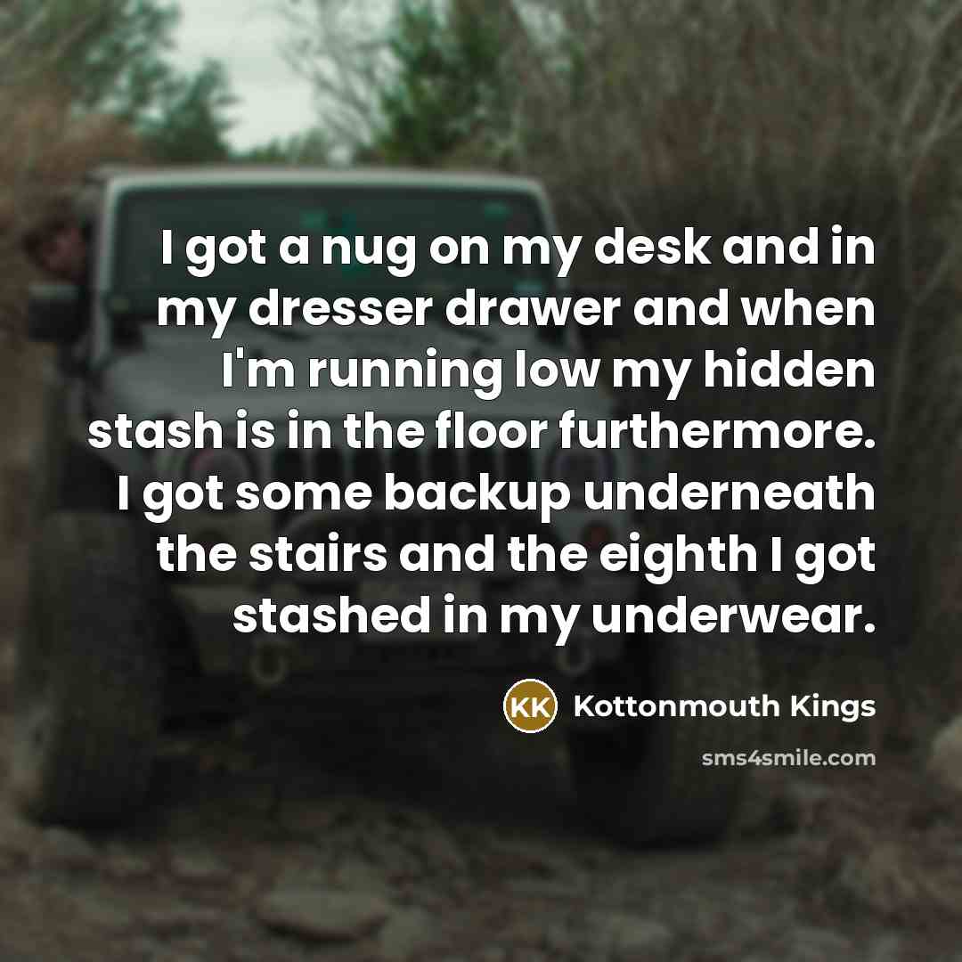 “I got a nug on my desk and in my dresser drawer and when I'm running low my hidden stash is in the floor furthermore. I got some backup underneath the stairs and the eighth I got stashed in my underwear.” quote by Kottonmouth Kings
