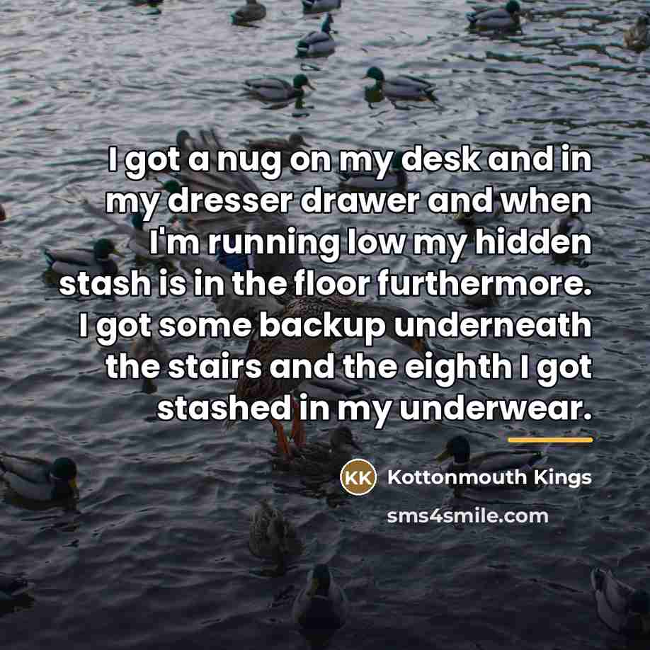 “I got a nug on my desk and in my…” quote by Kottonmouth Kings