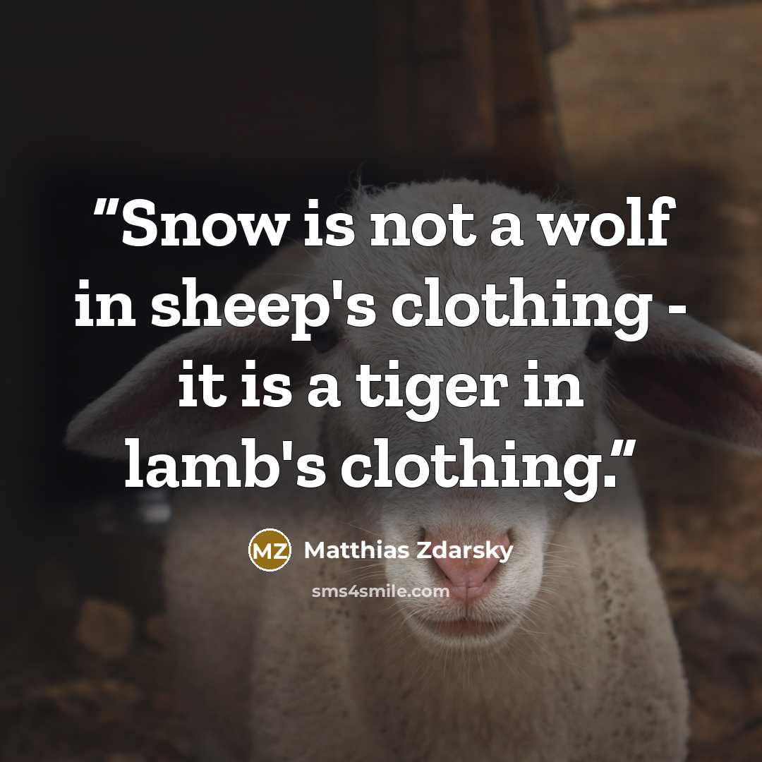“Snow is not a wolf in sheep's clothing - it is a tiger in lamb's clothing.” quote by Matthias Zdarsky
