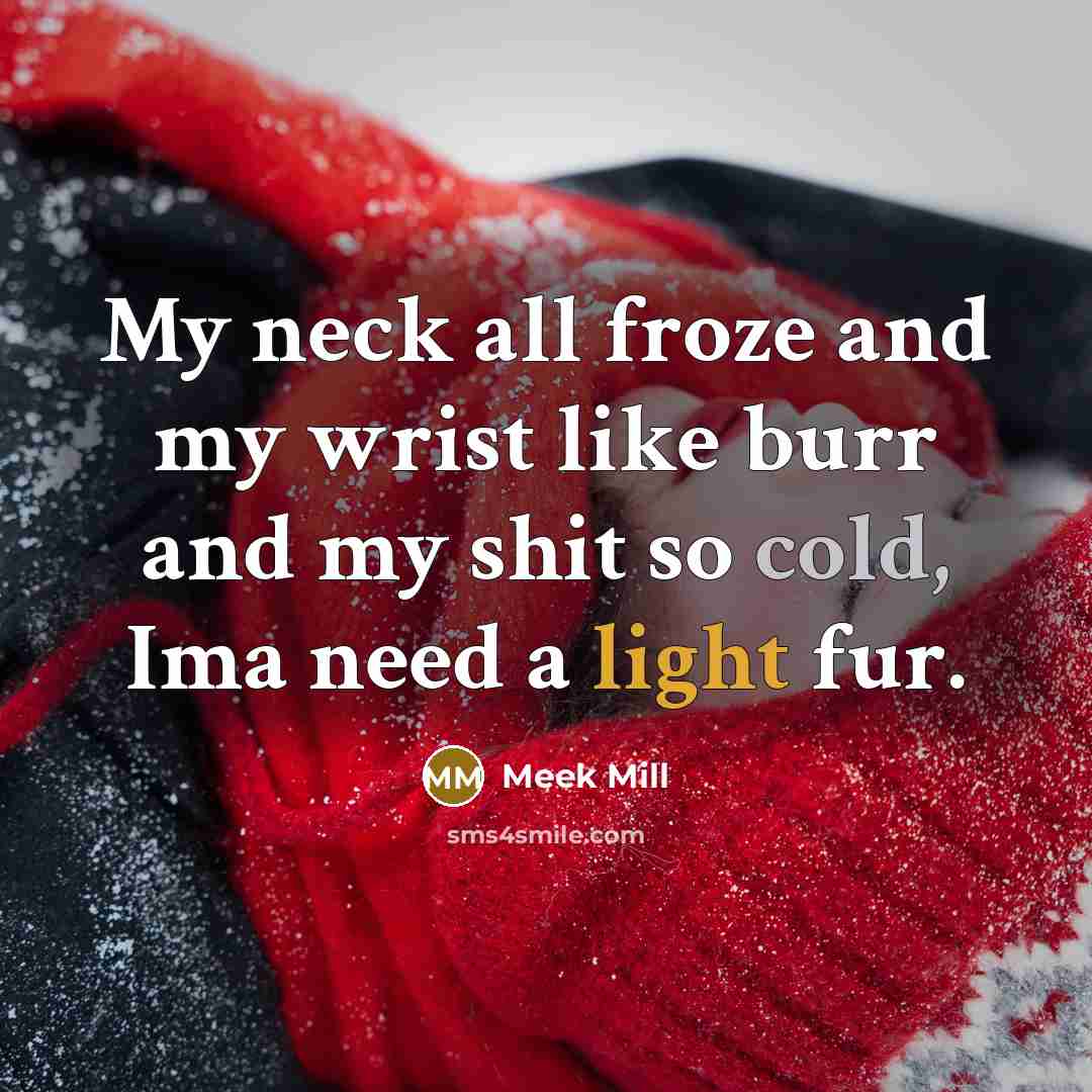 “My neck all froze and my wrist like burr and…” quote by Meek Mill