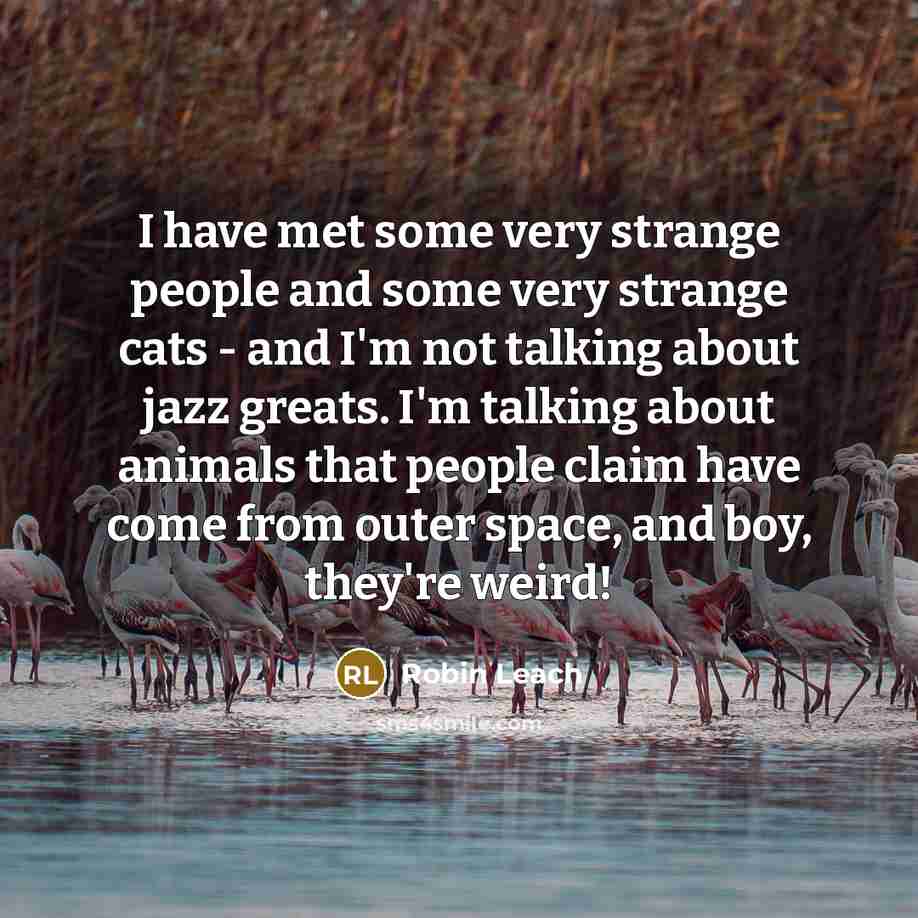 “I have met some very strange people and some very…” quote by Robin Leach