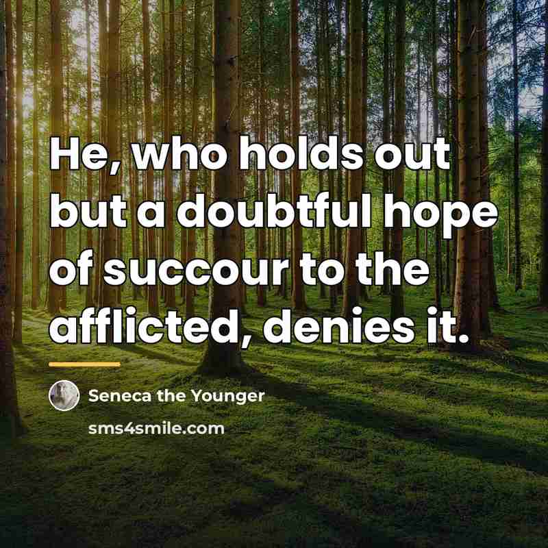 “He, who holds out but a doubtful hope of succour…” quote by Seneca the Younger