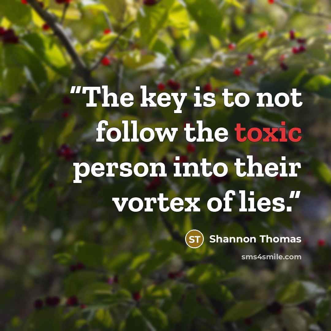 “The key is to not follow the toxic person into their vortex of lies.” quote by Shannon Thomas