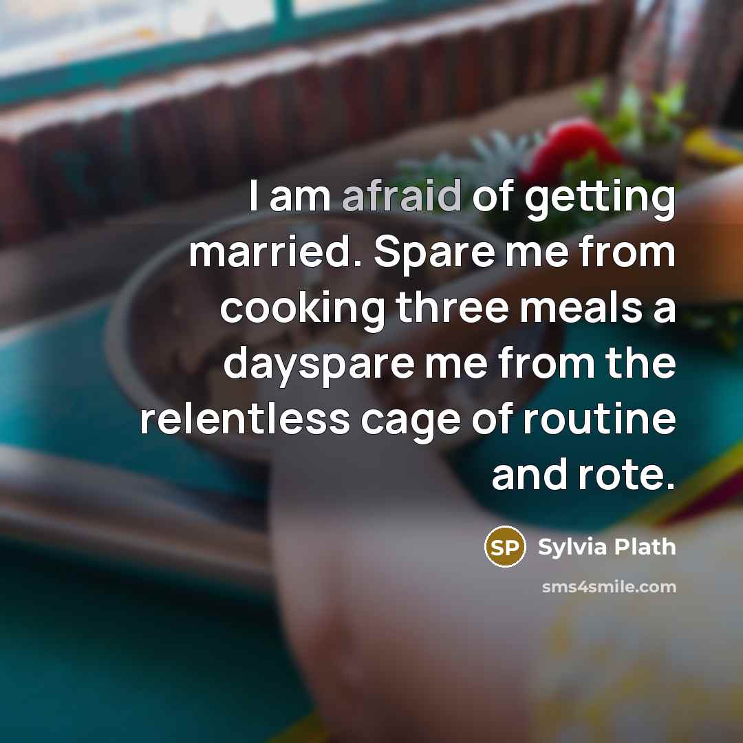 “I am afraid of getting married. Spare me from cooking…” quote by Sylvia Plath