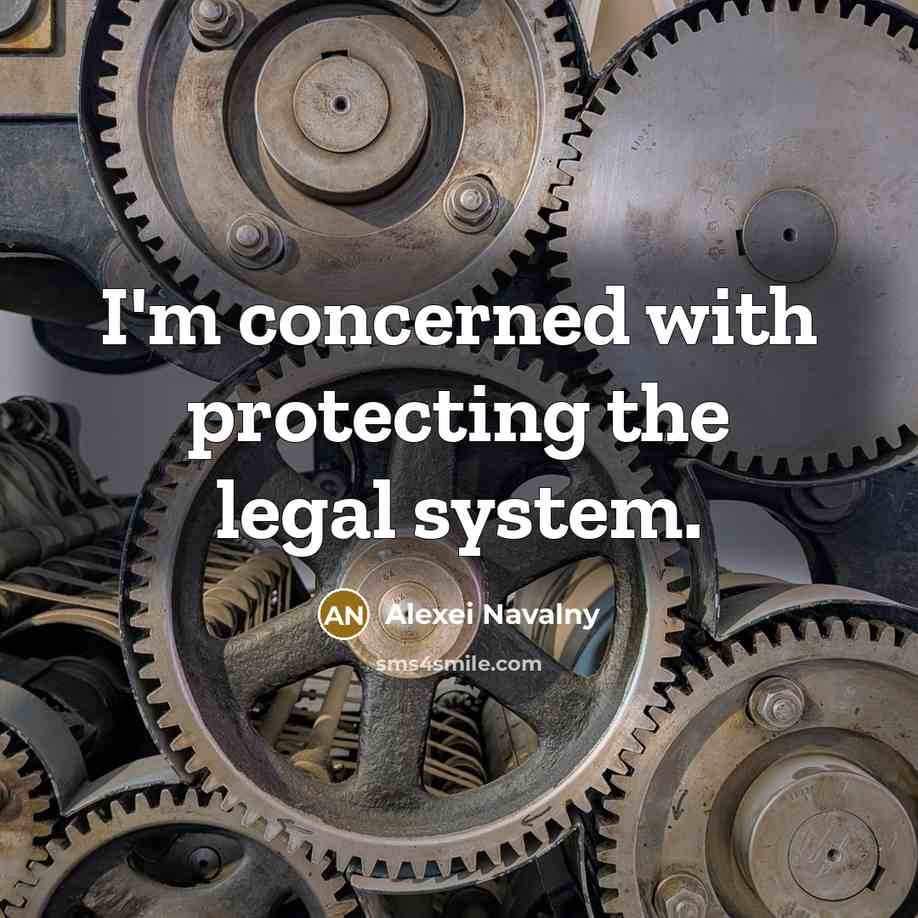 “I'm concerned with protecting the legal system.…” quote by Alexei Navalny