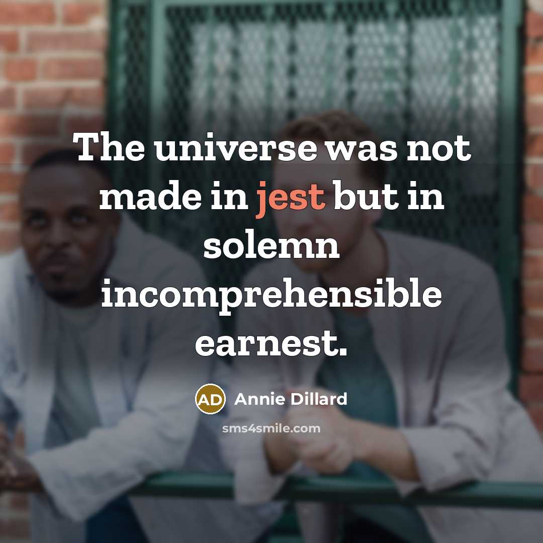 “The universe was not made in jest but in solemn…” quote by Annie Dillard